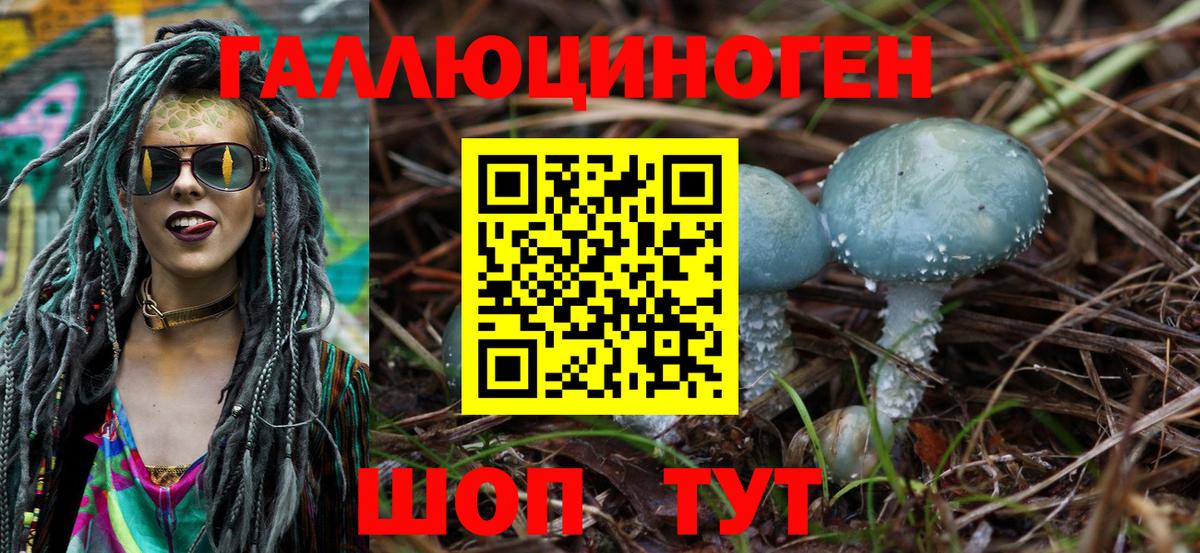 Псилоцибиновые грибы Psilocybine cubensis  Вход с VPN  Сунжа 