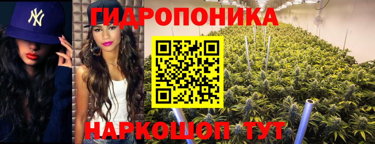 Канабис план Сунжа